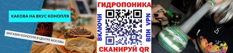 OMG зеркало  Камышин  Cannafood конопля 
