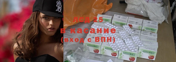 ПСИЛОЦИБИНОВЫЕ ГРИБЫ Алзамай