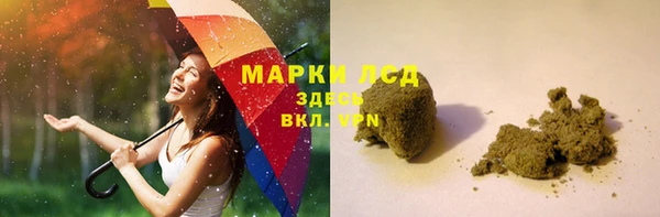 ПСИЛОЦИБИНОВЫЕ ГРИБЫ Алзамай