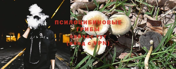 ПСИЛОЦИБИНОВЫЕ ГРИБЫ Алзамай