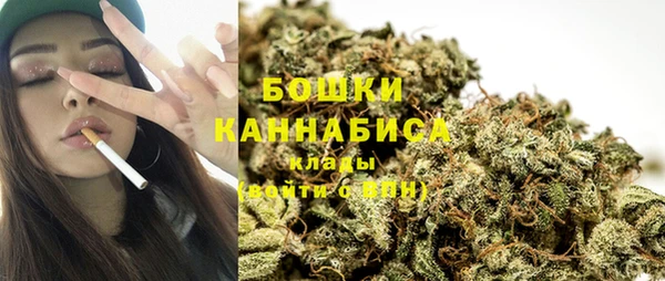 ПСИЛОЦИБИНОВЫЕ ГРИБЫ Алзамай