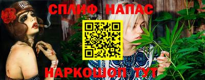 амф Гусь-Хрустальный