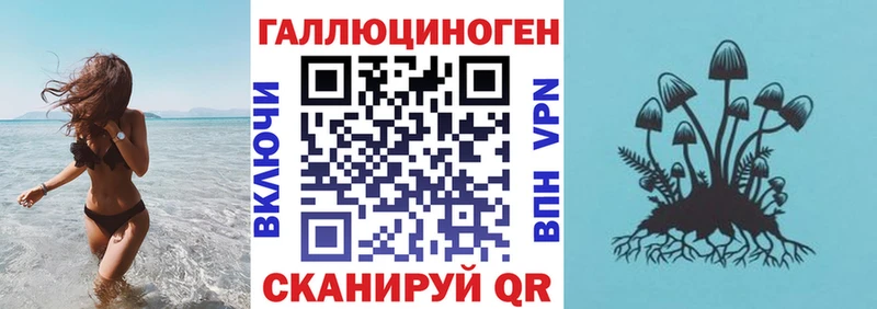 Псилоцибиновые грибы Psilocybe  блэк спрут как зайти  Камышин  купить наркотики сайты 