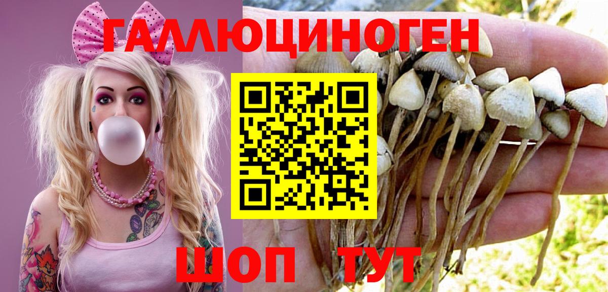 Галлюциногенные грибы прущие грибы Камышин